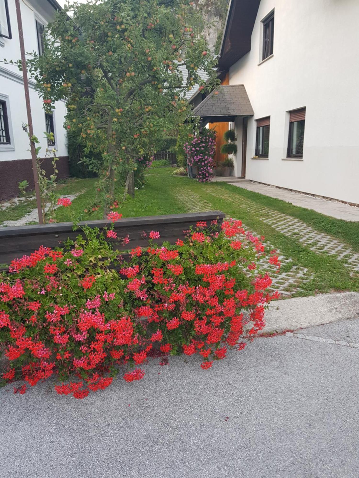 בלד Apartments Gregorc מראה חיצוני תמונה